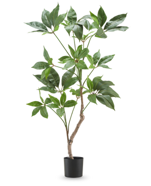 La Planta Artificial Schefflera de 90 cm es una planta artificial alta con amplias hojas verdes y un esbelto tallo marrón, expuesta en una sencilla maceta negra sobre un fondo blanco liso.
