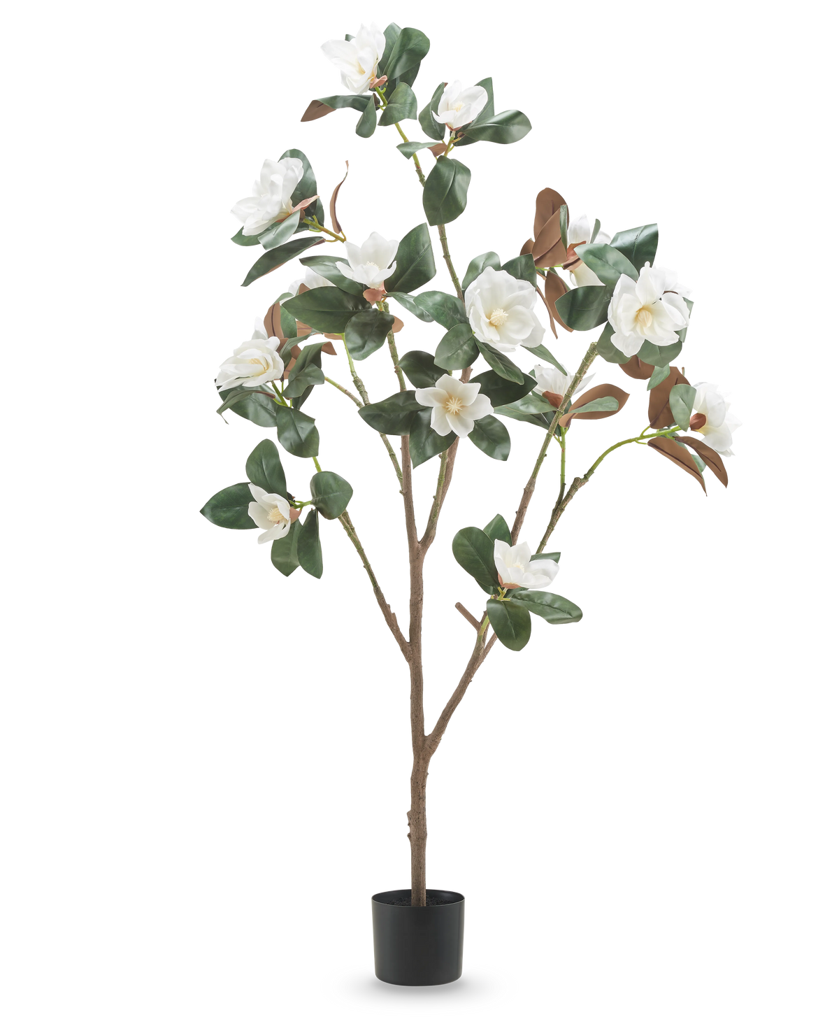 La planta artificial Yulania de 150 cm con flor es una magnolia artificial alta con múltiples ramas, exuberantes hojas verdes y flores blancas en una pequeña maceta negra, sobre un fondo blanco liso.