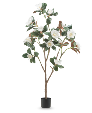 De Kunstplant Yulania 150 cm met bloem is een hoge kunstmagnolia met meerdere takken, weelderige groene bladeren en witte bloemen in een kleine zwarte pot, tegen een effen witte achtergrond.