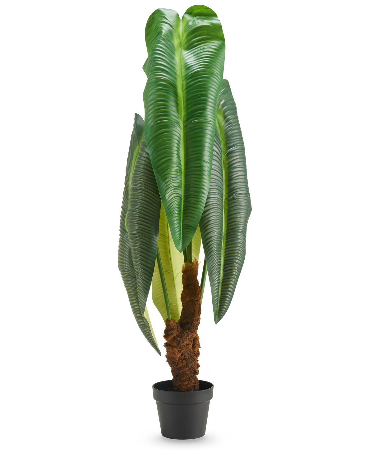 Planta artificial alta Anthurium de 120 cm con hojas grandes de color verde brillante y tallo marrón con estructura, presentada en una pequeña maceta negra sobre fondo blanco.