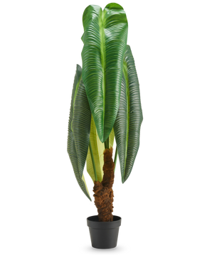 Planta artificial Anthurium 120 cm