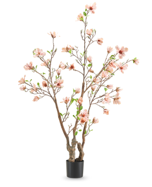 La Planta Artificial Magnolia 180 cm es un árbol artificial en maceta con múltiples ramas, flores de color rosa claro y hojas verdes sobre un fondo liso blanco.