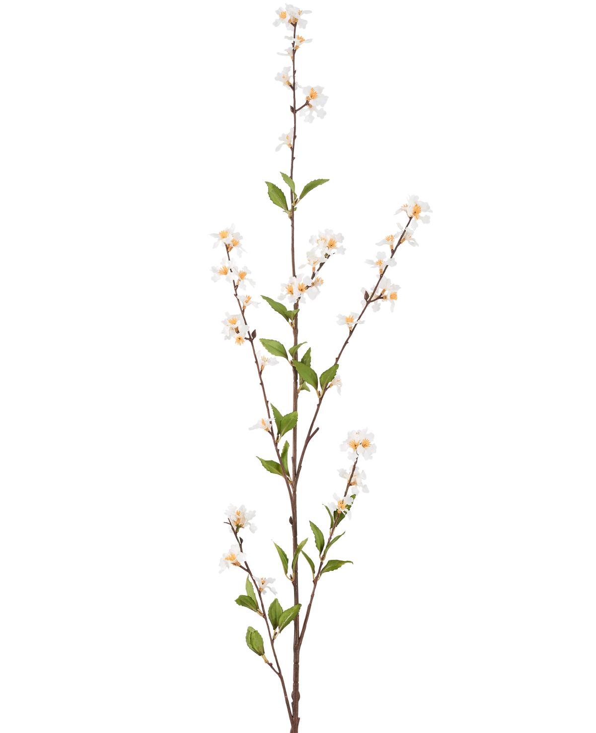 La flor artificial Flowers 119 cm crema tiene una sola rama alta con flores de color crema y hojas verdes a lo largo de los delgados tallos marrones, sobre un fondo blanco liso.