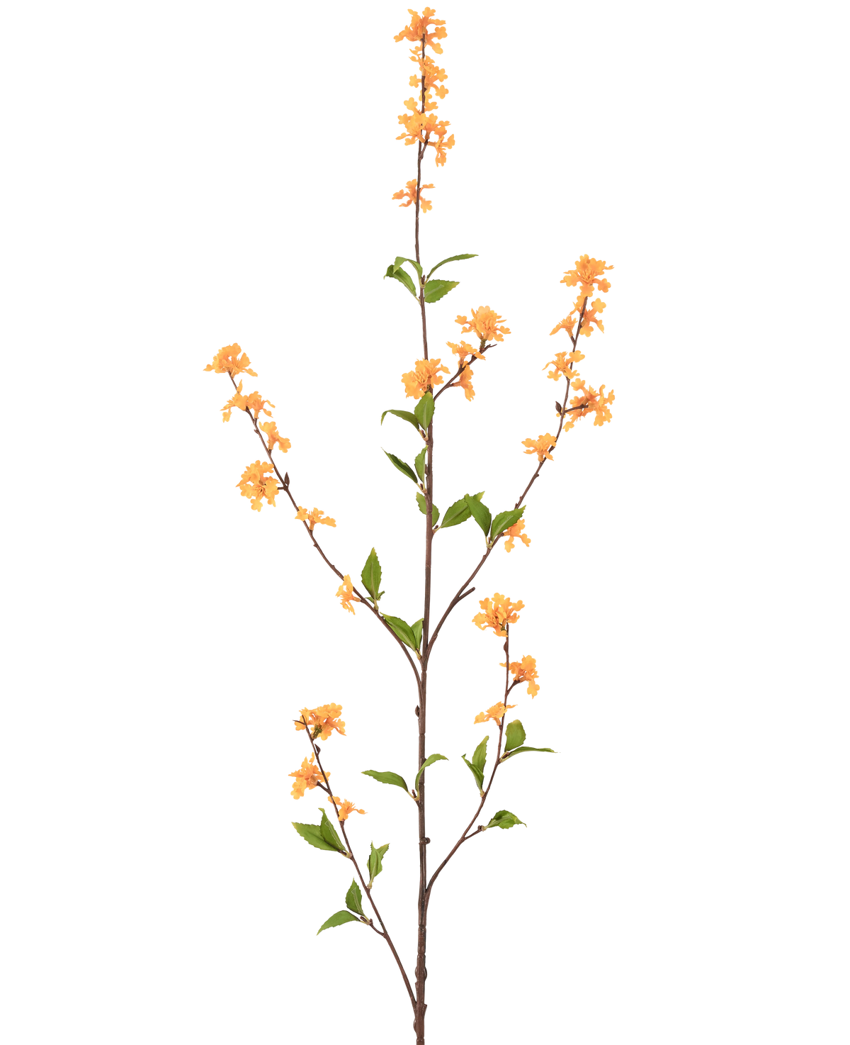 Una flor artificial alta y delgada de 119 cm de color amarillo con varios retoños con racimos de pequeñas flores amarillas y hojas verdes, aisladas sobre un fondo blanco.