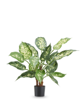 Planta artificial Dieffenbachia 40 cm, planta artificial ignífuga con hojas verdes y blancas brillantes en maceta negra.