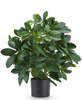 Planta artificial Baby Schefflera de 45 cm, ignífuga, con hojas de color verde brillante en maceta negra.
