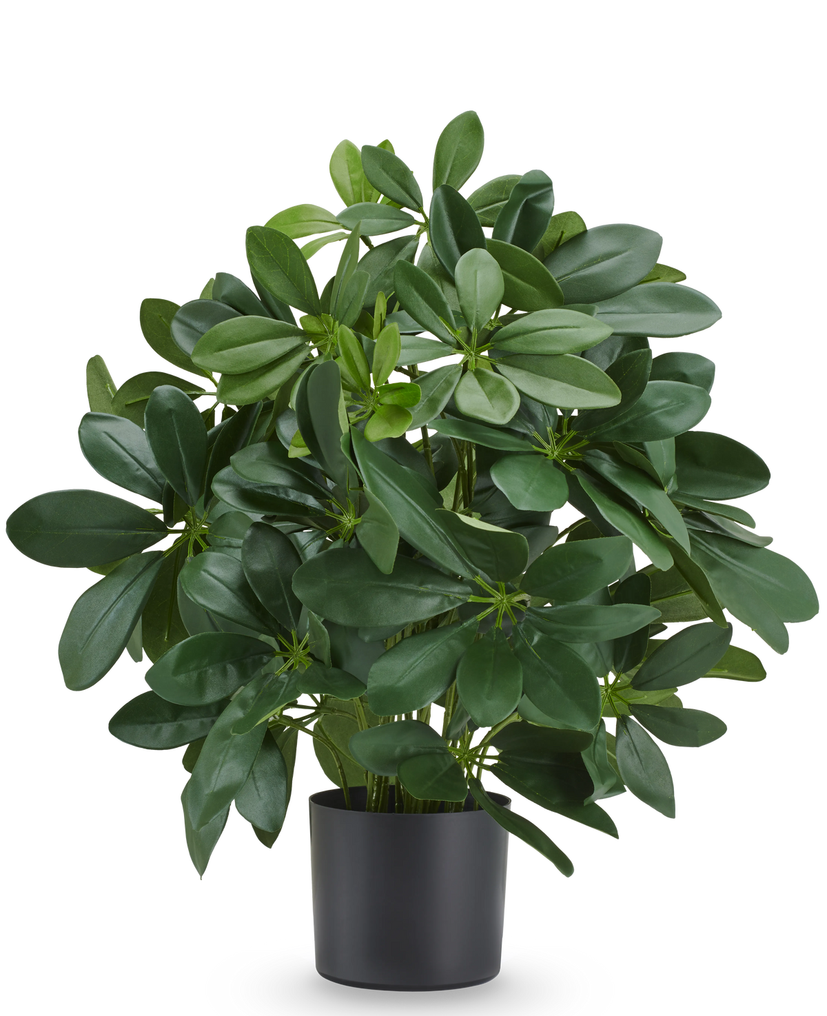 Planta artificial Baby Schefflera de 45 cm, ignífuga, con hojas de color verde brillante en maceta negra.