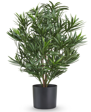 Planta artificial Podocarpus de 47 cm, ignífuga, con finas hojas verdes en maceta negra.