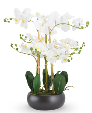 Orquídea Artificial Real Touch 50 cm blanca en maceta negra: una orquídea artificial Real Touch blanca con hojas verdes en una maceta redonda negra.