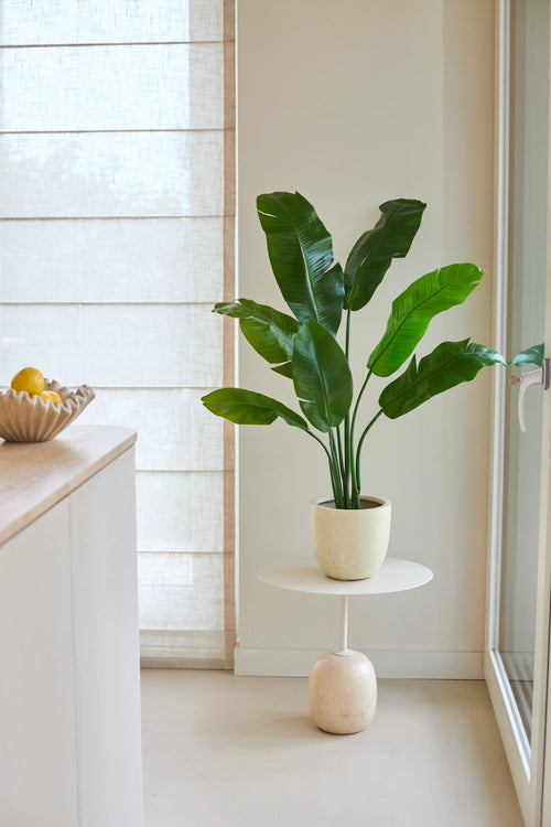Una planta artificial Strelitzia Nicolai Deluxe de 120 cm con grandes hojas verdes se encuentra sobre una pequeña mesa redonda junto a una ventana en una cocina luminosa y minimalista. Hay un cuenco de limones en el lado izquierdo del mostrador.