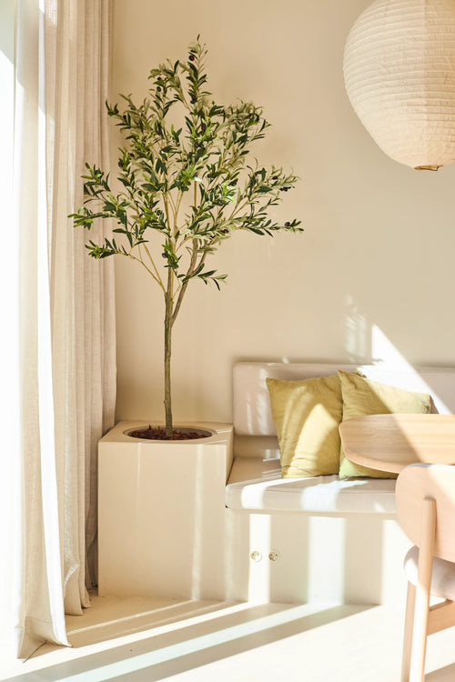 El olivo artificial de 150 cm se encuentra junto a un banco blanco con cojines verdes y beige, cerca de una mesa redonda de madera y una lámpara de papel colgante en una habitación minimalista iluminada por el sol.