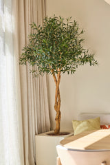 Een kunstolijfboom van 190 cm met een slanke stam en dichtgroen blad staat in een pot bij het raam met doorschijnende gordijnen, naast een bank met gele en beige kussens in een lichte, minimalistische kamer. Deze onderhoudsvriendelijke kunstolijfboom voegt stijl toe zonder extra verzorging.