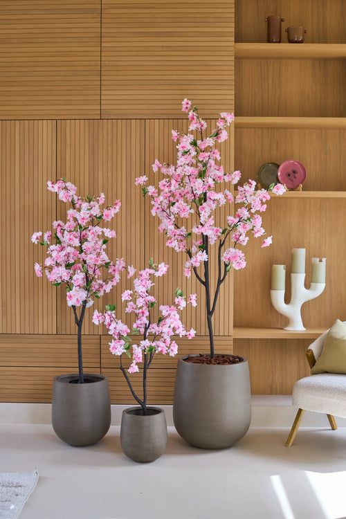 Tres cerezos en flor artificiales de 180 cm en una maceta rosa, con flores rosas, hechos de flores de cerezo de seda de alta calidad, se encuentran frente a una pared de madera con estantes incorporados, junto a una silla color crema y elementos decorativos.