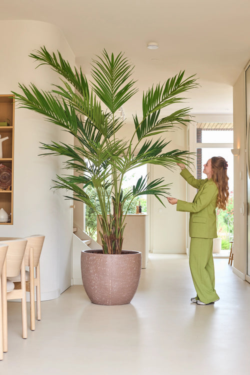 Una persona con un traje verde se encuentra en el interior y toca suavemente las largas hojas de una palmera Kentia artificial de 270 cm, que se encuentra junto a una zona de comedor con sillas de madera clara.