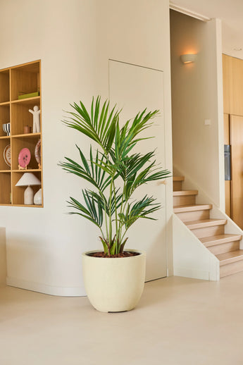 Een kunstplant, een Kentia-palm van 150 cm, staat op een lichte vloer in een moderne, minimalistische kamer met houten planken en een trap op de achtergrond.