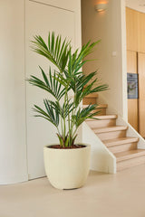 De Kunstplant Kentia-palm van 150 cm staat in een ruime pot op een lichte vloer bij een trap in een moderne, minimalistische kamer met neutrale muren en houten accenten.
