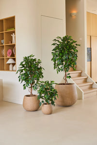 Planta artificial Ficus Verde 120 cm