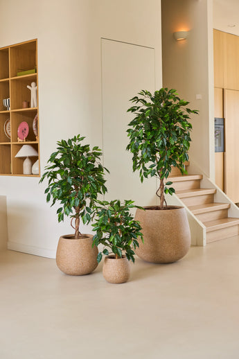 Tres plantas de interior en macetas de diferentes tamaños, incluida la planta artificial Ficus Green de 90 cm, están dispuestas sobre un suelo de color claro cerca de una escalera, con estantes de madera y accesorios para el hogar al fondo: una disposición ideal de plantas de oficina para cualquier espacio de trabajo moderno.