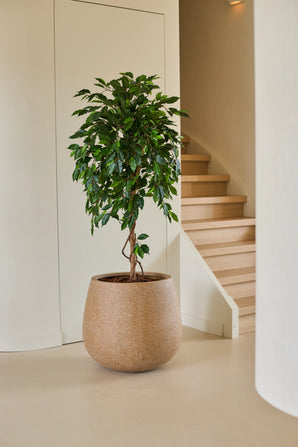 Una planta artificial Ficus Green de 150 cm, con sus hojas de color verde brillante, se alza sobre un suelo claro junto a una escalera de madera y paredes de color crema en una casa moderna y minimalista. Este elegante ficus artificial añade un toque de verde vibrante al refinado interior.