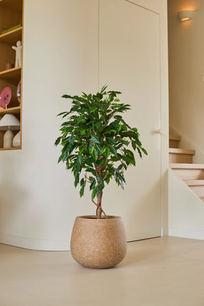 Una planta artificial Ficus Green de 120 cm con hojas de color verde brillante se alza sobre el suelo claro de una habitación moderna y minimalista, cerca de una escalera de madera y estanterías decoradas con objetos decorativos.