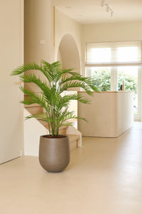 Planta artificial Phoenix 120 cm