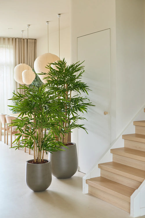 Dos plantas en macetas de bambú artificial de 120 cm se encuentran junto a una escalera de madera clara en un interior luminoso y moderno con grandes ventanales, cortinas claras, faroles de papel redondos y una decoración neutra.