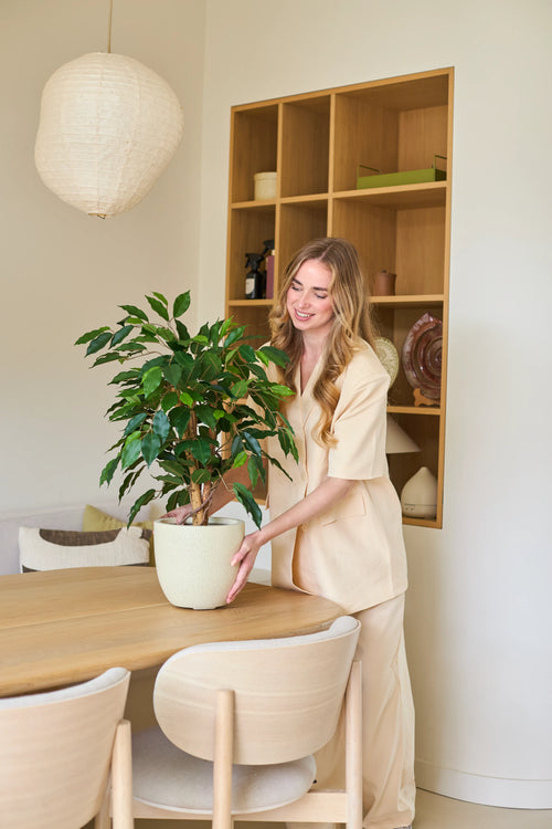 Una mujer de pelo largo y rubio, vestida con ropa clara, sonríe mientras coloca una Planta Artificial Ficus Green 90 cm sobre una mesa de comedor de madera en una habitación moderna, luminosa y decorada con estanterías y tonos neutros. La realista planta artificial de 90 cm aporta a la habitación un refrescante toque verde, haciéndola sentir animada y acogedora: una opción ideal para una elegante planta de oficina.