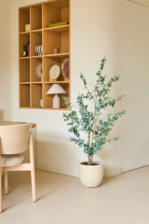 Planta artificial Eucalipto 150 cm