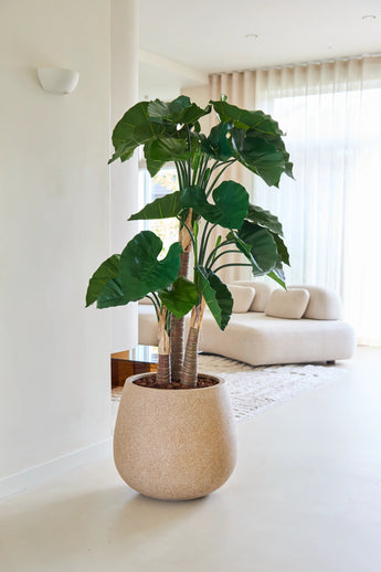 De kunstplant Alocasia van 150 cm, met brede groene bladeren, staat in een beige pot met structuur op een lichte vloer. Op de achtergrond laten een crèmekleurige bank en doorschijnende witte gordijnen het zonlicht binnenstromen.