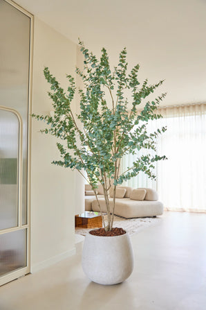 Planta artificial Eucalipto 240 cm