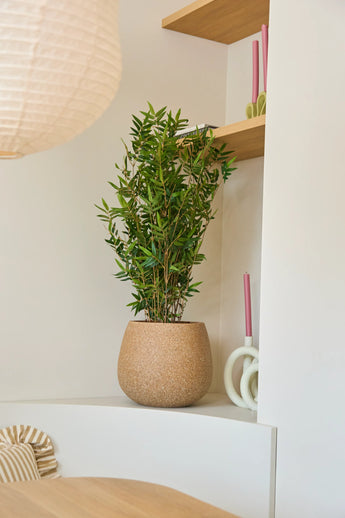Una Planta Artificial Bamboo Deluxe de 90 cm se encuentra sobre un estante blanco junto a dos velas rosadas y tablones de madera; Se ven parcialmente una pantalla de lámpara redonda y un cojín a rayas.