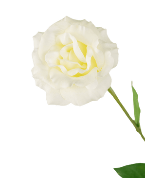 Eustoma Artificial Toque Real Blanco 72cm