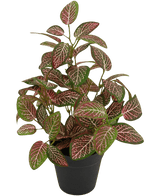 Fittonia Artificial Roja en Maceta 35cm