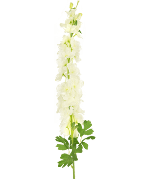 Flor artificial Aconito 105 cm blanco