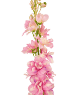 Flor artificial Aconito Delphinium 79 cm rosa