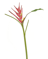 Flor artificial Heliconia 90 cm fucsia