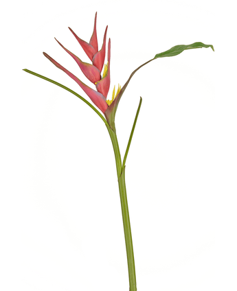 Flor artificial Heliconia 90 cm fucsia