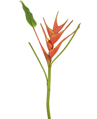 Flor artificial Heliconia 90 cm roja