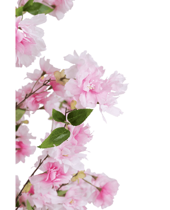 Flor de cerezo artificial 150 cm rosa