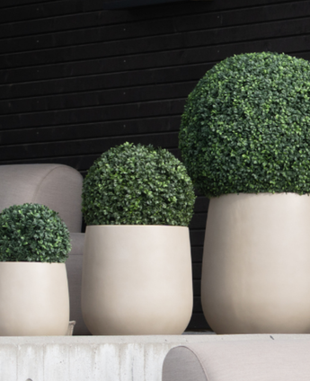 Drie Kunstplant Buxus Romeinse stijl UV D40cm vormbomen in beige plantenbakken staan in een rij voor een zwarte houten muur en lichtgrijze stoelen.