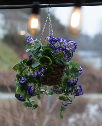 La Begonia Artificial Morada en Cesta UV 70cm es una cesta colgante con Begonias artificiales de color violeta vibrante con hojas verdes, perfecta para exteriores. El arreglo agrega color y encanto bajo bombillas de luz cálida.