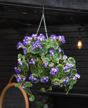 La Begonia artificial violeta en cesta UV 70 cm cuelga de una cadena y muestra exuberantes hojas verdes y vibrantes flores de color púrpura y blanco. Detrás, una pared de madera oscura y una lámpara encendida completan la escena.