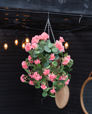 La Begonia Artificial rosa en cesta UV 70cm, con exuberantes hojas verdes y flores rosas, cuelga de una cadena. Las cálidas luces tenues y un espejo redondo acentúan el fondo de madera oscura.