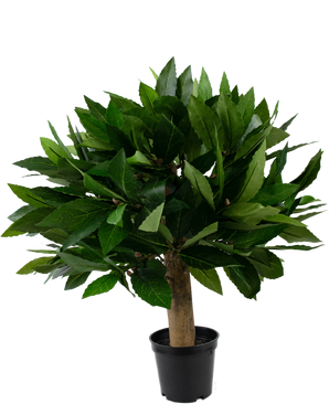 Planta artificial Laurel 33 cm UV