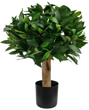 Planta artificial Laurel d30 cm UV