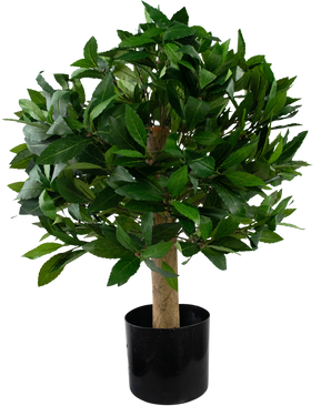 Planta artificial Laurel d40 cm UV