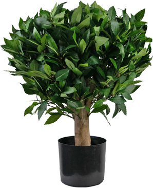 Planta artificial Laurel d65 cm UV