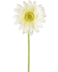 Gerbera artificial 53 cm blanca