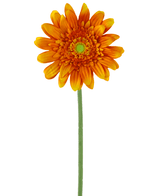 Gerbera artificial 53 cm naranja