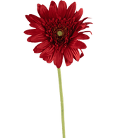 Gerbera artificial 53 cm roja